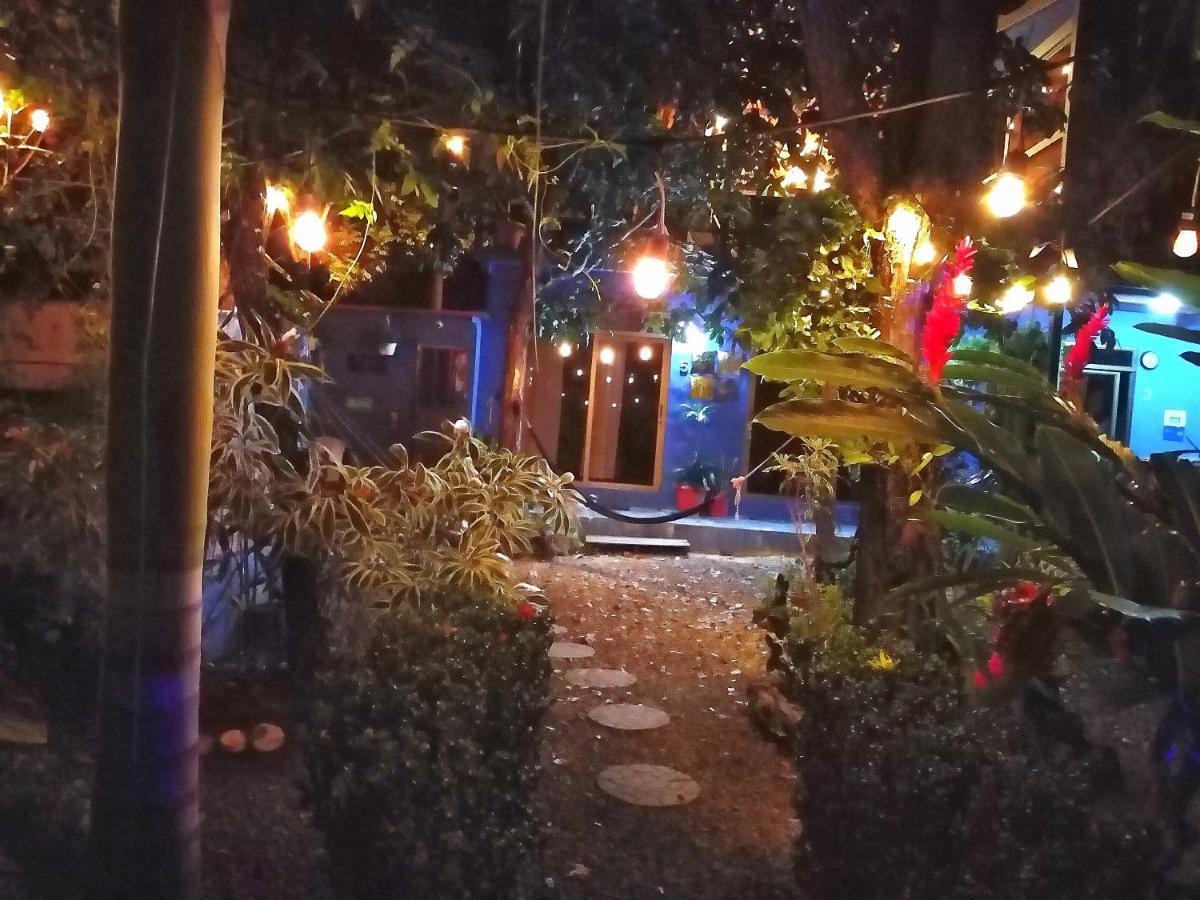查梅 The Blue House Panama旅馆 外观 照片